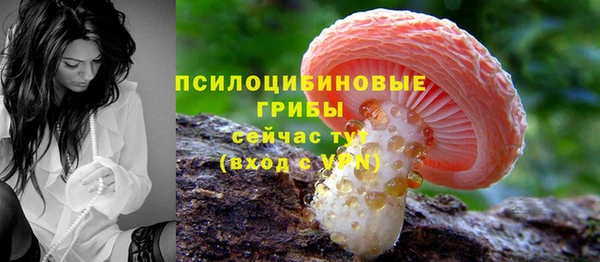 бошки Армянск