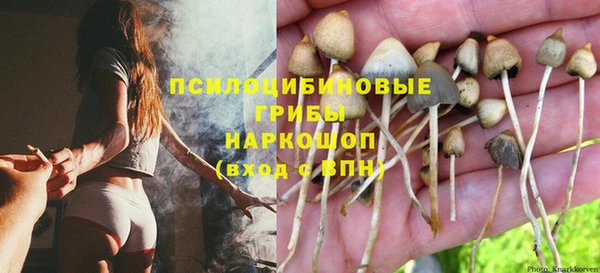 бошки Армянск