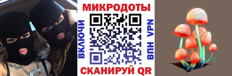 Псилоцибиновые грибы Cubensis Рошаль